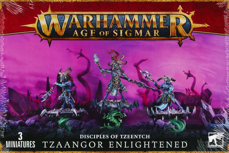 Warhammer Age of Sigmar - Tzaangors Éclairés